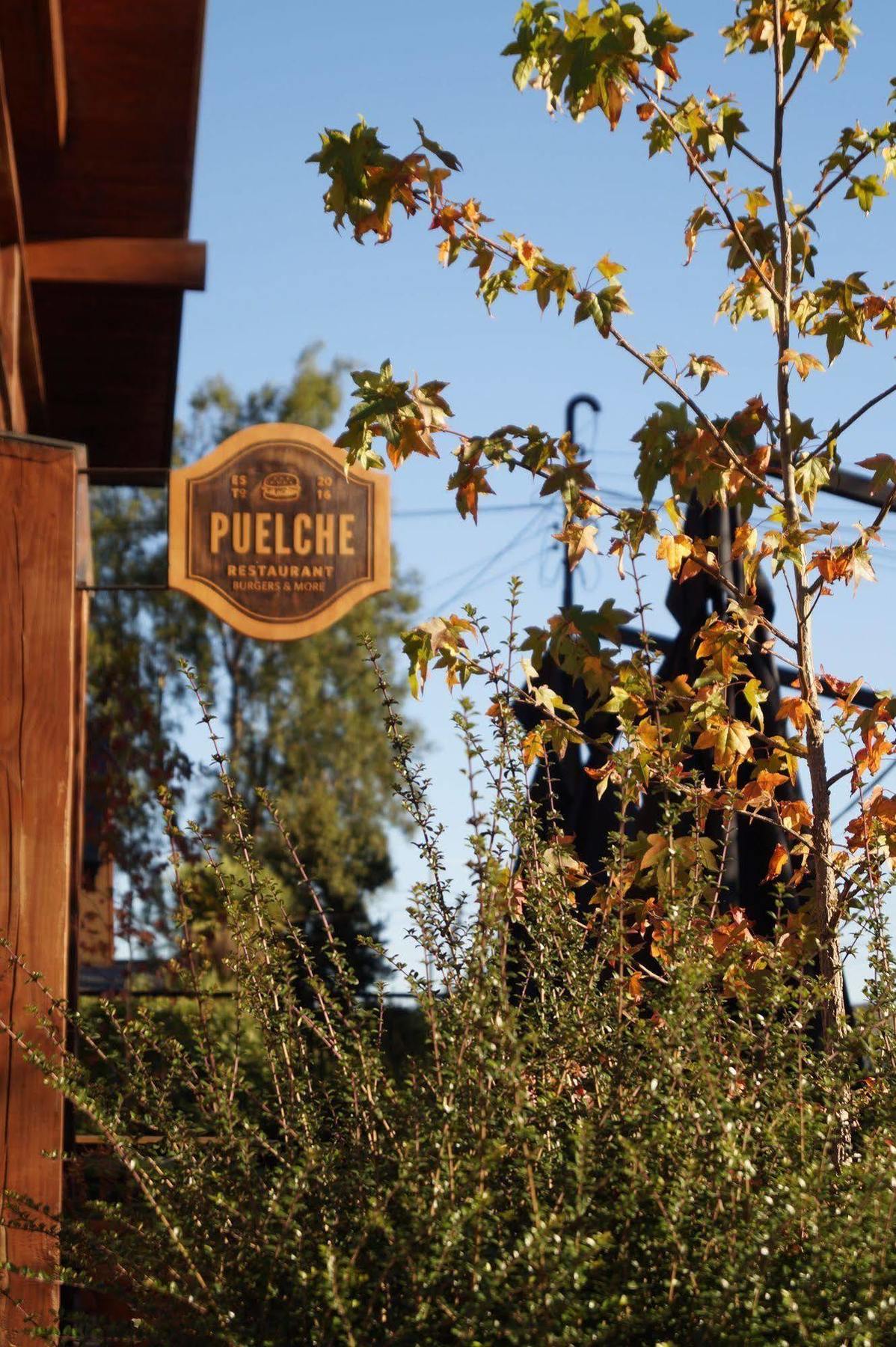Hotel Puelche 3*
